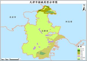 2001年天津市植被类型分布数据,中科超图地理云平台