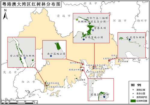 2019年粤港澳大湾区红树林分布数据