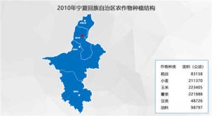 2010年宁夏回族自治区区县级农作物面积及产量统计数据,中科超图地理云平台