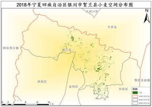 2018年宁夏回族自治区小麦种植分布数据,中科超图地理云平台
