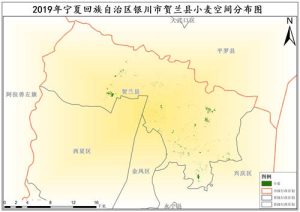 2019年宁夏回族自治区小麦种植分布数据,中科超图地理云平台