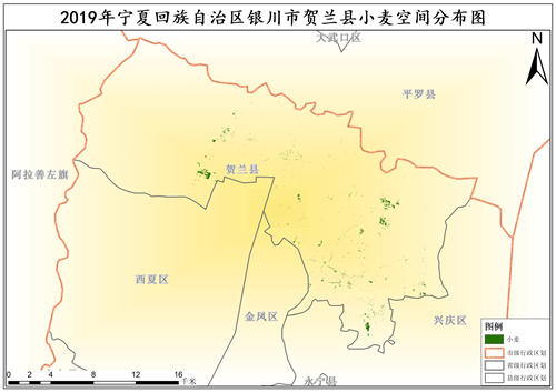 2019年宁夏回族自治区小麦种植分布数据