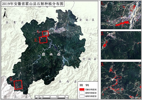 2019年安徽省霍山石斛种植分布数据