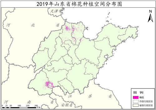 2019年山东省棉花种植分布数据
