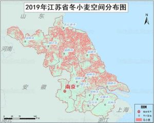 2019年江苏省冬小麦种植分布数据,中科超图地理云平台