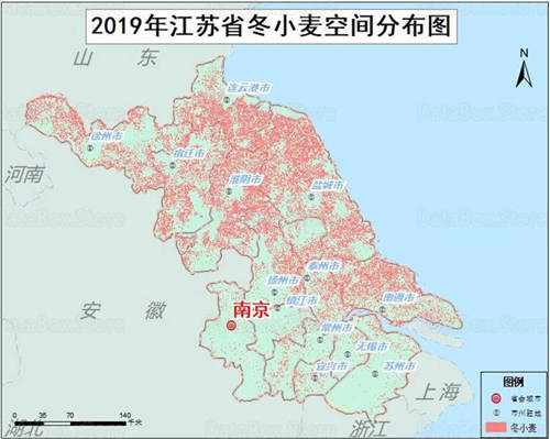 2019年江苏省冬小麦种植分布数据