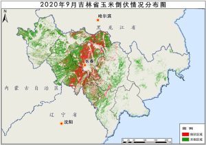 2020年吉林省玉米倒伏情况分布数据,中科超图地理云平台