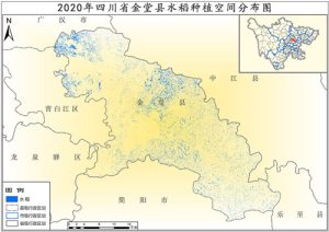 2020年四川省水稻种植分布数据,中科超图地理云平台