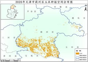2020年天津市玉米种植分布数据,中科超图地理云平台