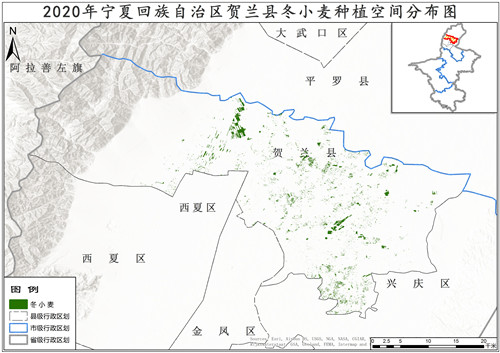 2020年宁夏回族自治区冬小麦种植分布数据