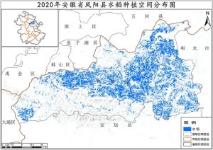 2020年安徽省水稻种植分布数据,中科超图地理云平台
