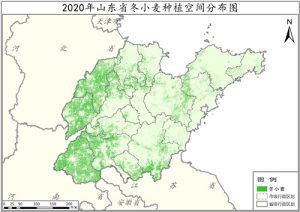 2020年山东省冬小麦种植分布数据,中科超图地理云平台