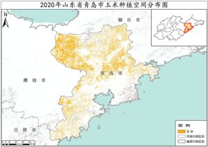 2020年山东省玉米种植分布数据,中科超图地理云平台
