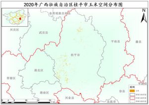 2020年广西壮族自治区玉米种植分布数据,中科超图地理云平台