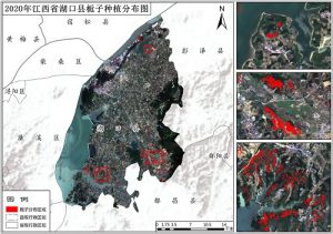 2020年江西省栀子种植分布数据,中科超图地理云平台