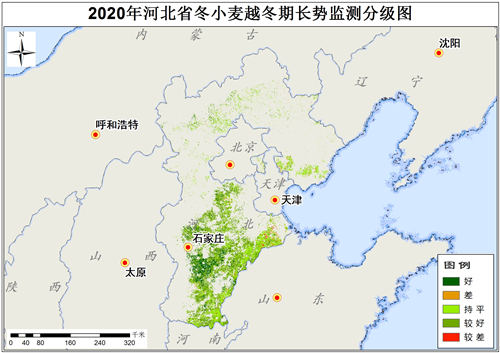 2020年河北省冬小麦越冬期长势监测数据