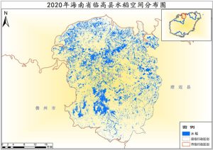 2020年海南省水稻种植分布数据,中科超图地理云平台