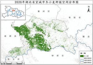 2020年湖北省冬小麦种植分布数据,中科超图地理云平台