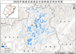 2020年福建省水稻种植分布数据,中科超图地理云平台