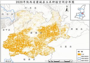 2020年陕西省玉米种植分布数据,中科超图地理云平台