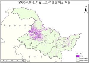 2020年黑龙江省大豆种植分布数据,中科超图地理云平台