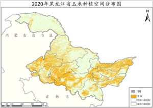 2020年黑龙江省玉米种植分布数据,中科超图地理云平台