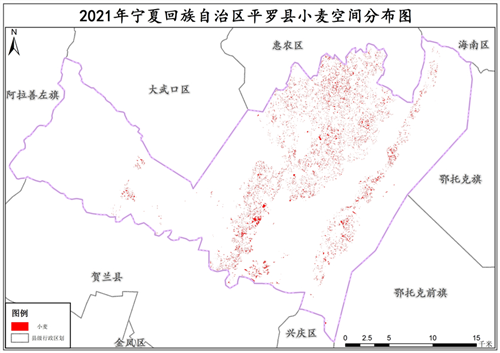 2021年宁夏回族自治区小麦种植分布数据