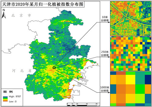 天津市归一化植被指数（NDVI）10米逐月数据