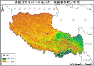 西藏自治区归一化植被指数NDVI逐月数据,中科超图地理云平台