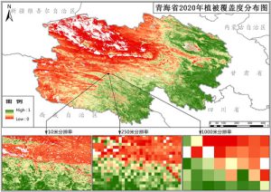 青海省植被覆盖度（VFC）10米逐月数据,中科超图地理云平台