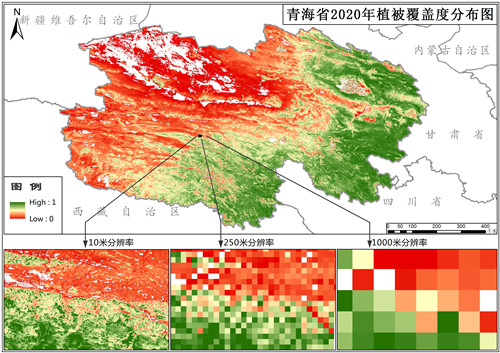 青海省植被覆盖度（VFC）10米逐月数据