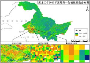 黑龙江省归一化植被指数（NDVI）10米逐月数据,中科超图地理云平台