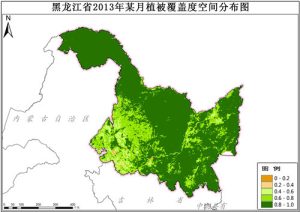 黑龙江省植被覆盖度VFC逐月数据,中科超图地理云平台