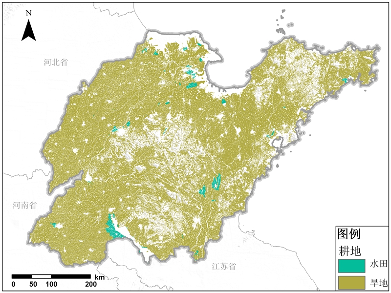 山东省耕地资源空间分布数据服务