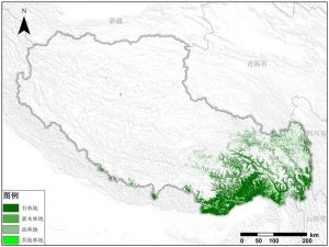 西藏自治区林地资源空间分布数据服务,中科超图地理云平台